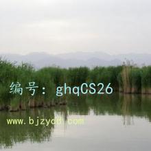 ǧ