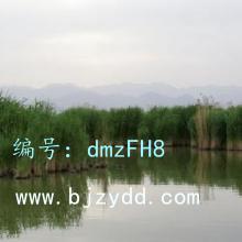 Ǳ