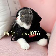 ⲿ