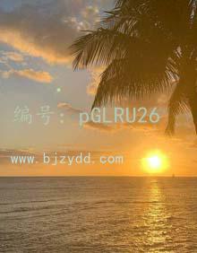 Ǳ