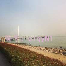 ˲