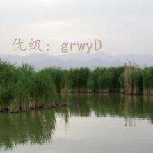 ɱ