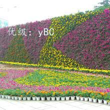 ĺ֮