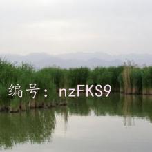 Ǳ