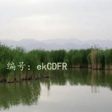 ûа취
